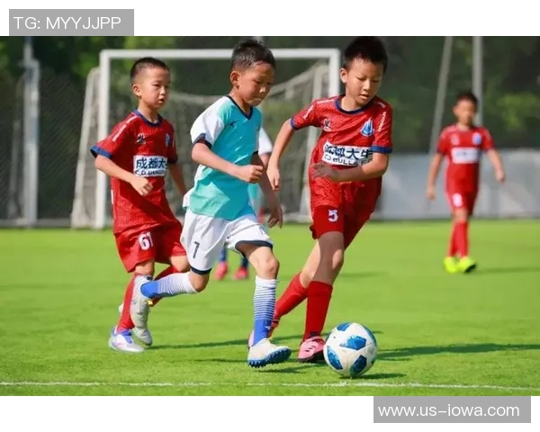 成都足球队的节奏揭秘：激情与梦想交织的绿茵传奇