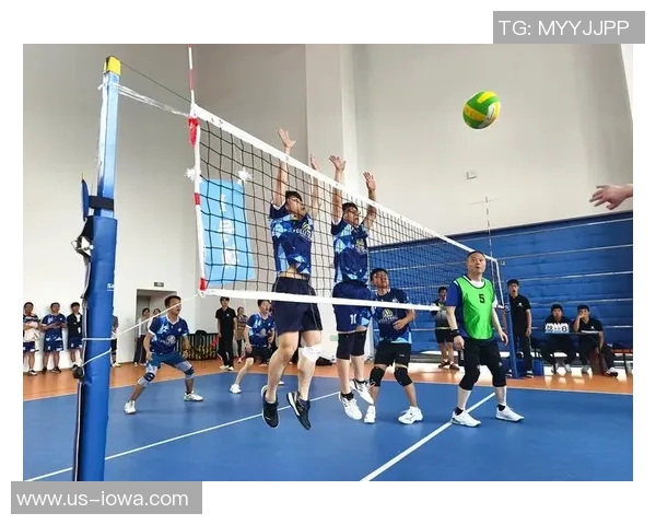 排球热议：南京排球队的团队协作争议